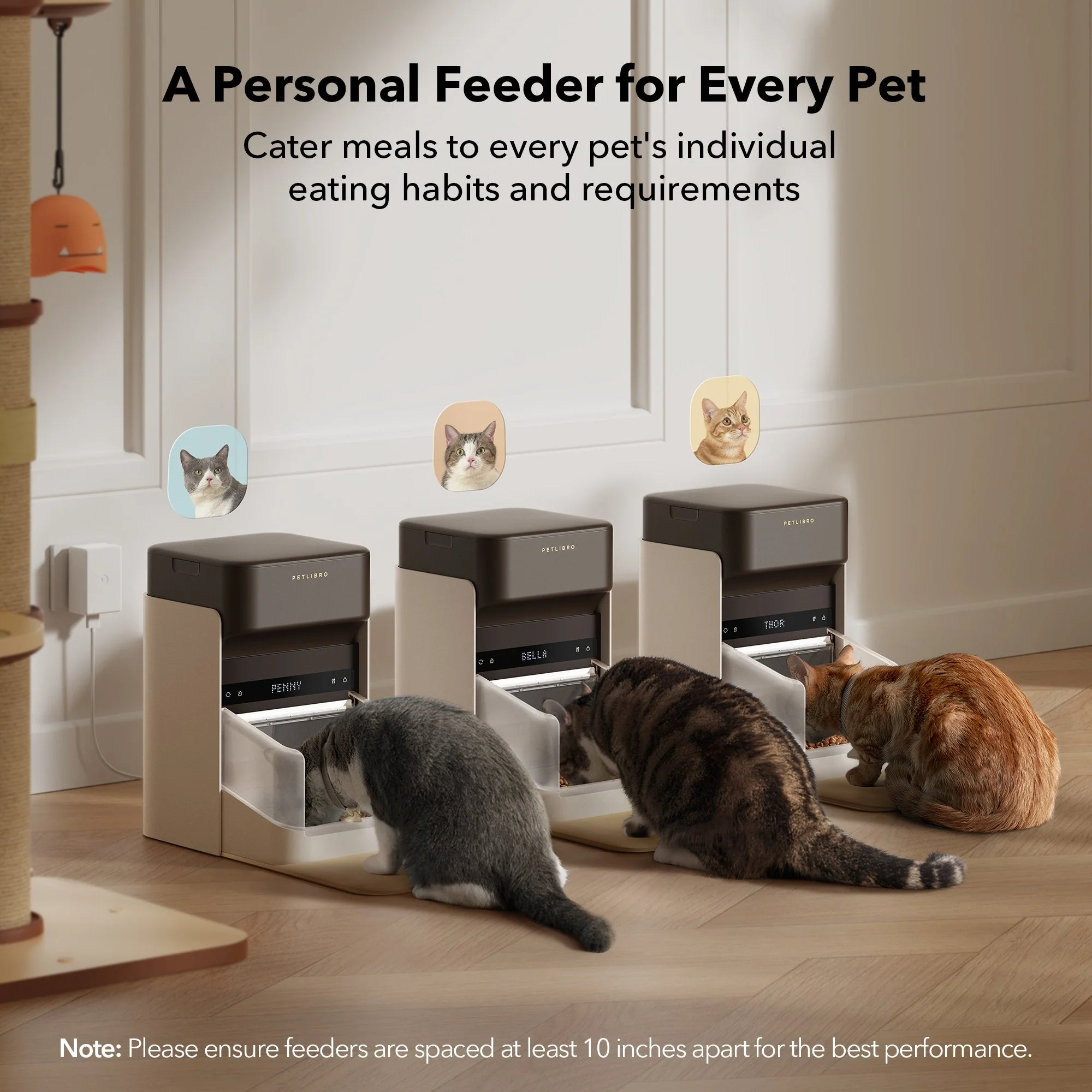 RFID Smart Feeder & Scout Smart Camera - Image 4