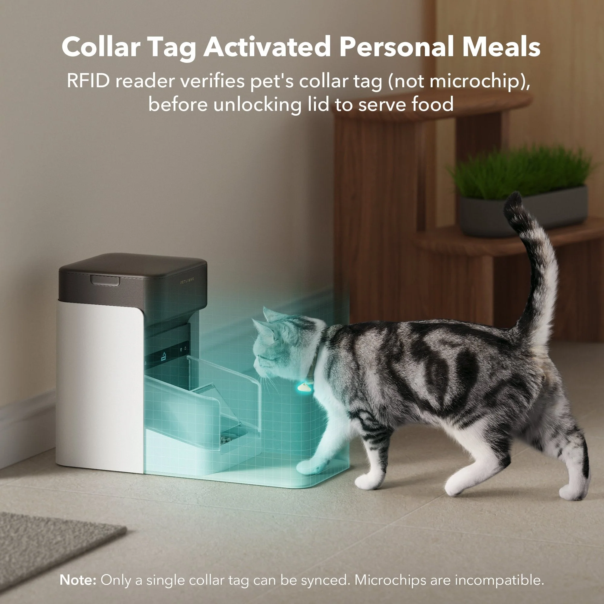 RFID Smart Feeder & Scout Smart Camera - Image 5